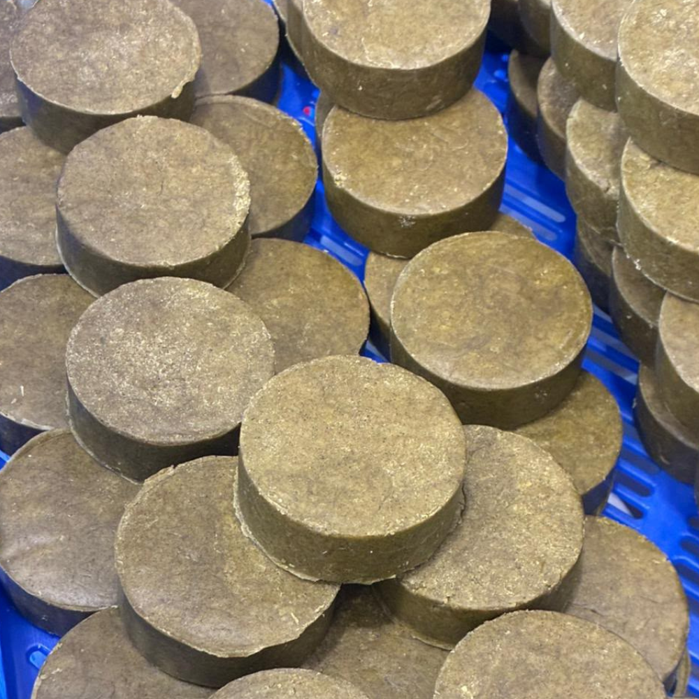 Brahmi & Hibiscus Softening Shampoo Bar For For Coloured & Chemically Treated Hair I 60 gms