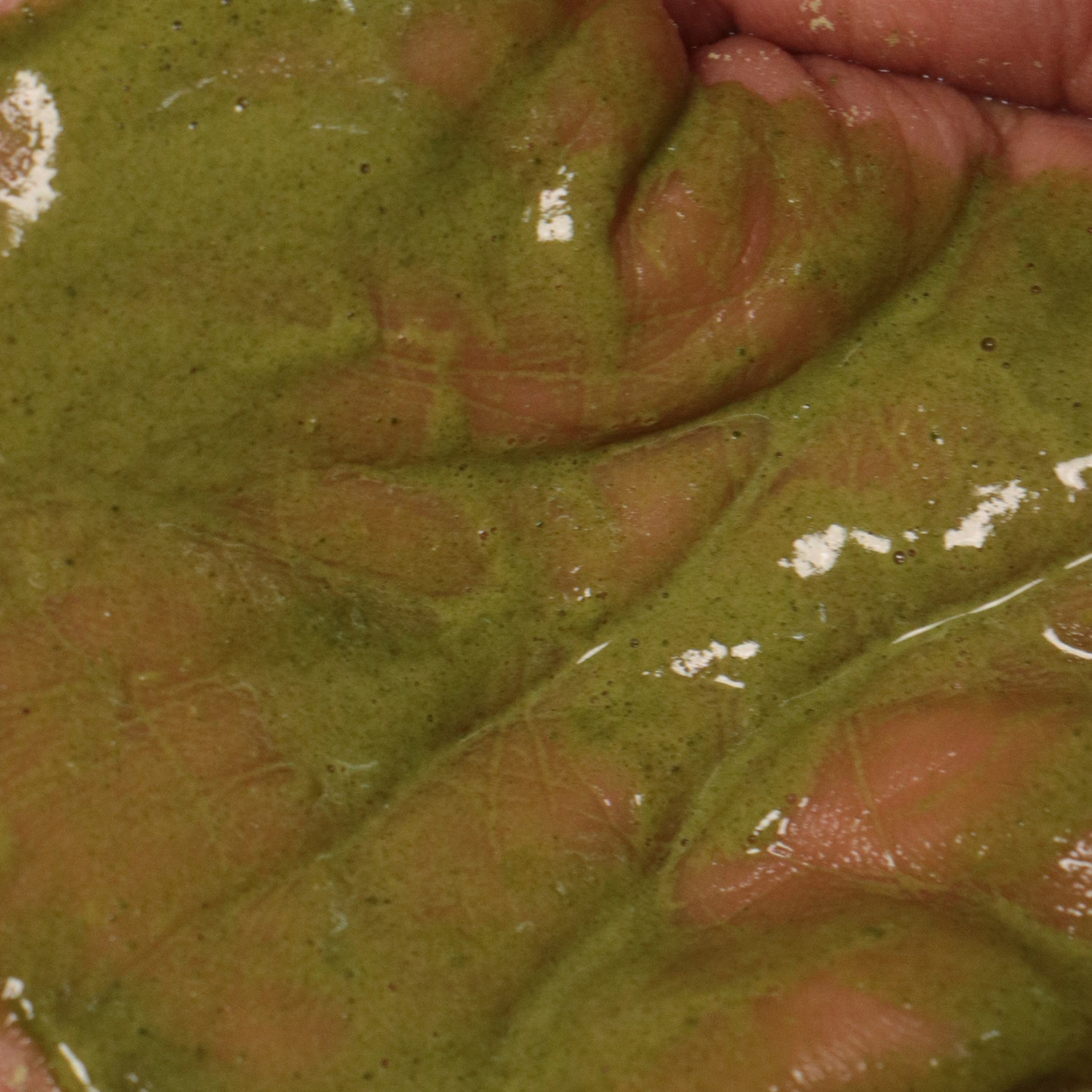 Remedy: Neem & Moringa Powdered Face Wash for Oily & Acne Prone Skin I 50 gms